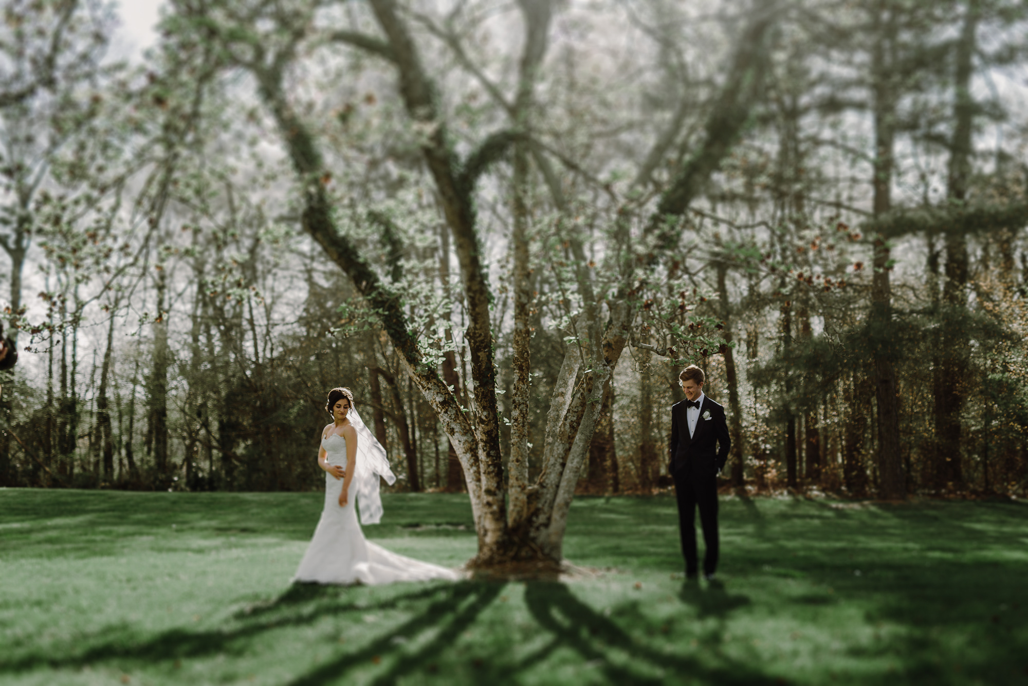Bride and Groom Portrait by tree